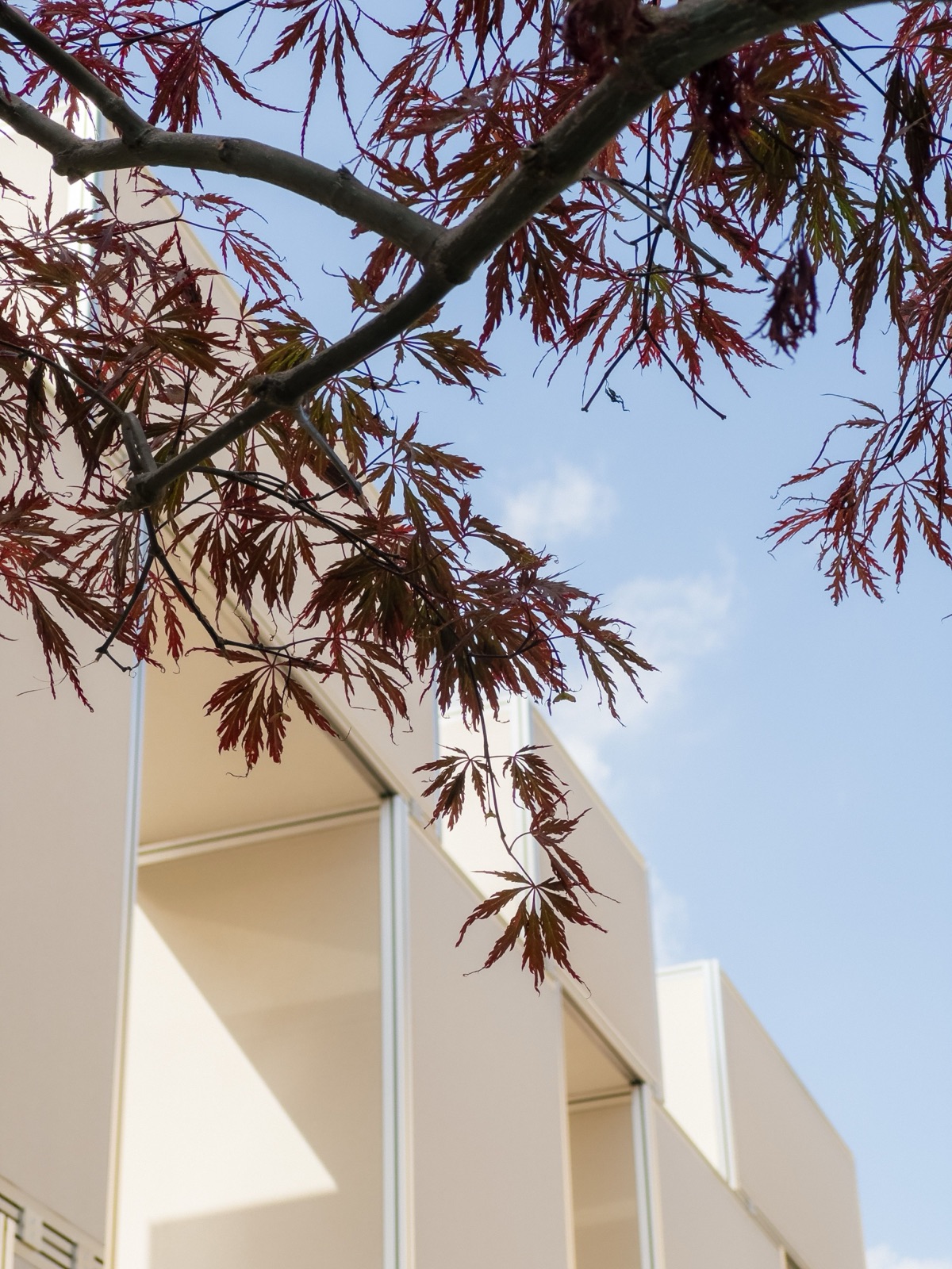 Viabizzuno – Licht im Dialog mit der Architektur